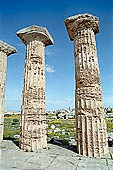 Selinunte the temple hill - A close-up of the Doric columns of temple E, 10 m high and with a diameter of more than 2 meters. 